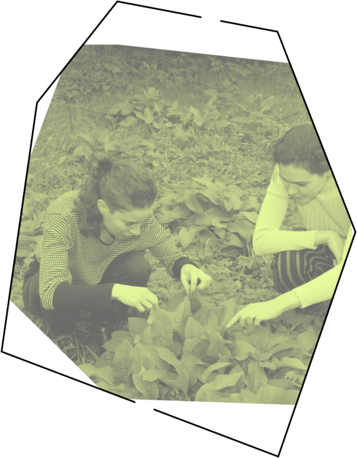 Working on our garden project in Haringey